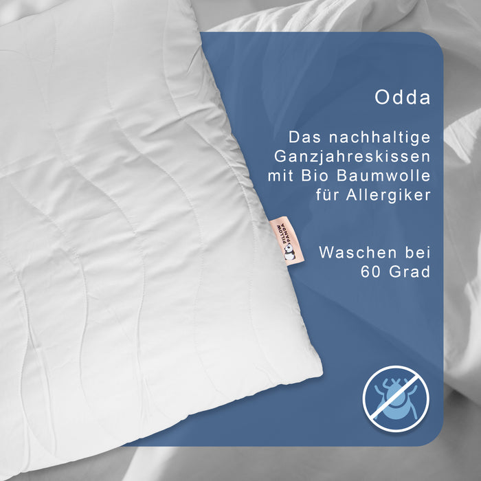 Odda - das nachhaltige Allergiker Kopfkissen