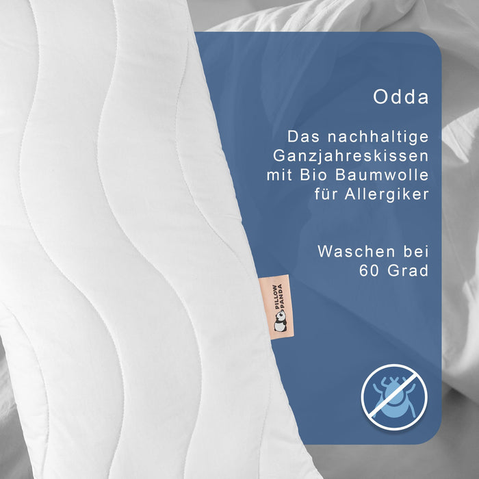 Odda - das nachhaltige Allergiker Kopfkissen - Pillow Panda